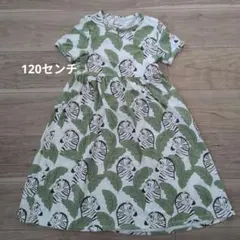 mini rodini ゼブラプリント 半袖ワンピースのサムネイル