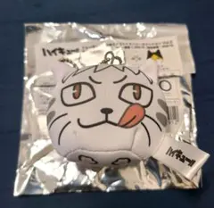 ハイキュー　動物マスコットミニビーズクッション　夜久