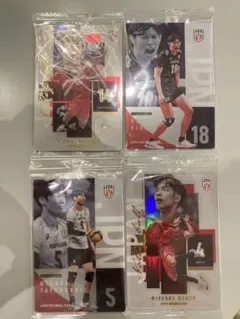 男子バレーボール日本代表ツインウエハース