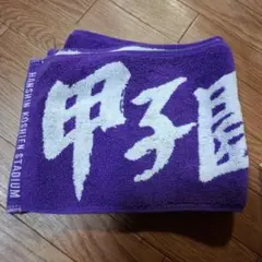 Item thumbnail for item 4646e176-f738-4ef3-8d94-1ca25f03d13a