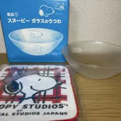 スヌーピー ガラスのうつわとハンカチ4枚セット