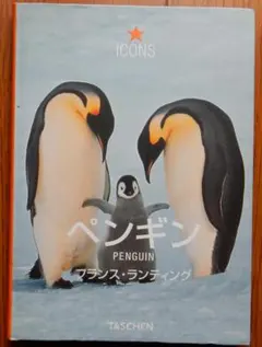 Item thumbnail for item e4760809-943c-450f-bebd-aebca317d167