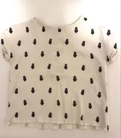 Item thumbnail for item 532ee704-9e62-40b2-a8a8-80b030abf624