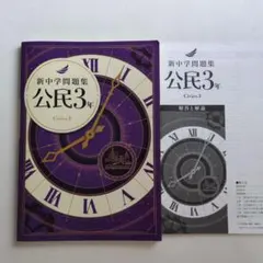 新中学問題集 公民3年のサムネイル