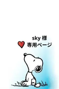 sky 様、専用ページ♡