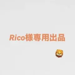Rico様専用出品