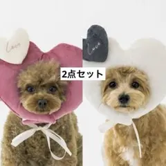 Item thumbnail for item 82438b81-bb22-4e20-9ba1-538fe0d18bc4