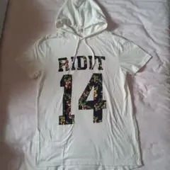 Item thumbnail for item 7e19a2d8-b405-4053-b147-ee2953ba9040