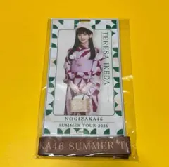 乃木坂46 池田瑛紗 チケットホルダー 真夏の全国ツアー 2026 新品未