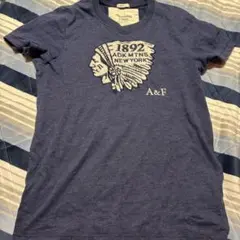 アバクロンビー＆フィッチ Tシャツのサムネイル