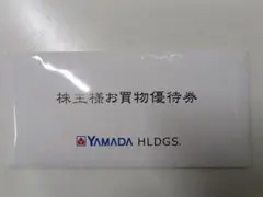 YAMADA HLDGS. お買物優待券 500円 10枚
