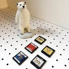 【Nintendo DS】　バラエティ　ニンテンドーDS ソフト 5本セット