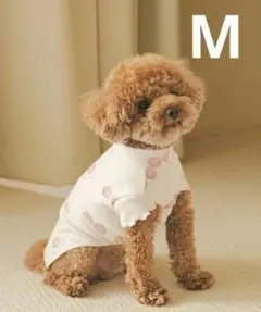 ゆかんぐ様 リクエスト 2点 まとめ商品