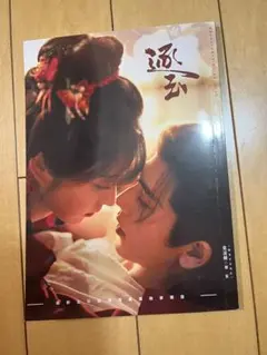 且試天下 楊洋ヤンヤン 趙露思チャオルースー写真集A4サイズ64p - メルカリ