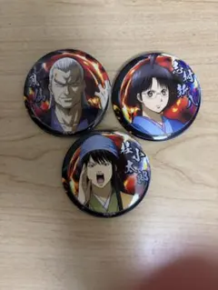 新劇場版 銀魂 吉原大炎上 缶バッジ 鳳仙 志村新八 桂小太郎