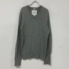 231 Abercrombie & Fitch グレー Vネックセーター M