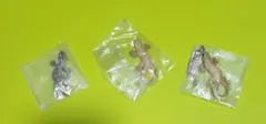【送料無料‼️】ヤモリ★3点セット