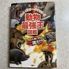 ジョン様 リクエスト 2点 まとめ商品