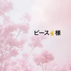 ピース✌️様ポケットティッシュケース