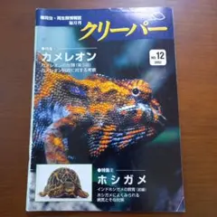 Item thumbnail for item 738cf717-bf7e-4120-87a2-7aef6dc6e5f4