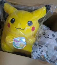 ポケットモンスター ピカピカボックス 2021 - メルカリ