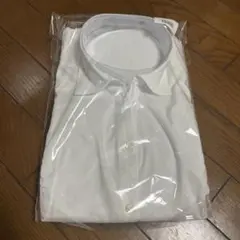 Item thumbnail for item 3f6ada7d-9d3f-49fd-be6a-01627e39e724