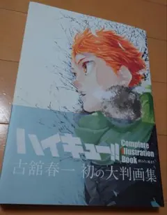 ハイキュー!! Complete Illustration book