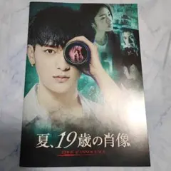 夏、19歳の肖像 EDGEOF INNOCENCE　映画パンフレット
