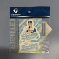 郡司裕也 ハイライトフォト ステッカー 2025年最新】郡司裕也 ステッカーの人気アイテム - メルカリ