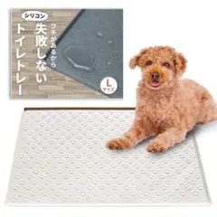 Item thumbnail for item 0e929108-5cc3-4624-89d6-839d0b6f4f78