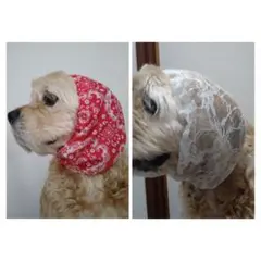 ASAMI様専用 2点セット