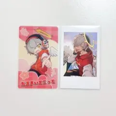 Crazy Raccoon こどもの日 セルフィー ランダム だるまいずごっど