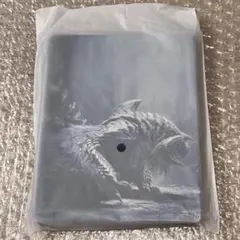 モンスターハンターワイルズ コレクターズエディション 特典 スチールブック