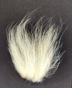 Item thumbnail for item 66a4ad06-939d-4b81-b4b2-bcb5a12944cb