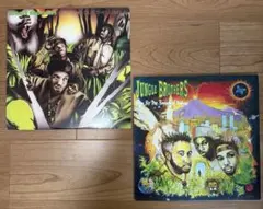 ライムスター、THE JIMMY CASTOR BUNCH レコード2枚セット ライムスター、THE JIMMY CASTOR BUNCH レコード2枚セット - メルカリ