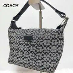 COACH コーチ アクセサリーポーチ ハンドバッグ ミニシグネチャー ブラック