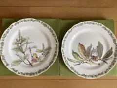 Noritake となりのトトロ 27cmディナー皿 2枚のサムネイル