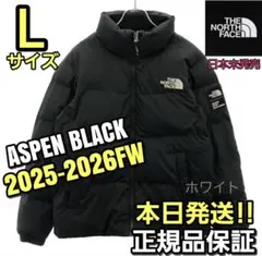 THE NORTH FACE ASPEN Lサイズ ダウンジャケットブラック