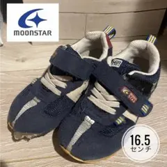 Item thumbnail for item ae532527-bdbb-4010-8220-e1d7f70dae3f