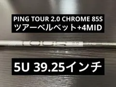 2026年最新】ピンツアー2.0クロームの人気アイテム - メルカリ