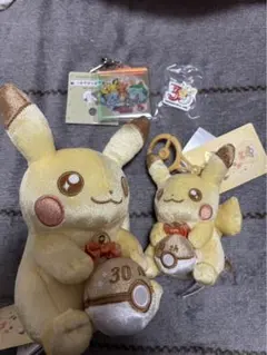 ピカチュウ 30周年記念 ぬいぐるみセット　アクリルキーホルダー　メタルチャーム