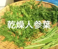 にんじん 葉 農薬不使用 乾燥用 人参 葉 1.6kg - メルカリ