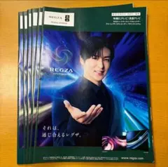 【まとめ売り】SnowMan目黒蓮　REGZAカタログ　6冊　まとめ売り
