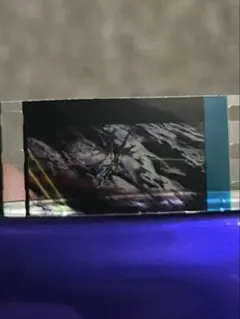 SEEDフィルム4点セット