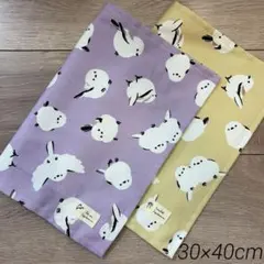 ランチョンマット2枚セット　【No.84】　30×40 シマエナガ