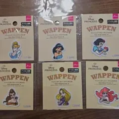 ディズニープリンセス 刺繍ワッペンセット