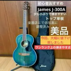 2026年最新】James アコギの人気アイテム - メルカリ