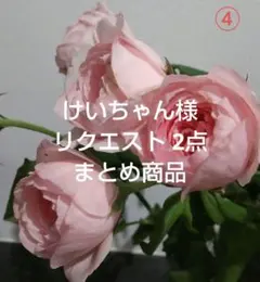 けいちゃん様 リクエスト 2点 まとめ商品