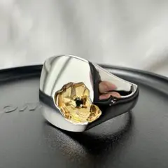 【極美品・g60】Mined Ring Large Black Diamondのサムネイル