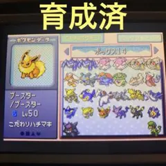 中身充実　ポケモン　エメラルド